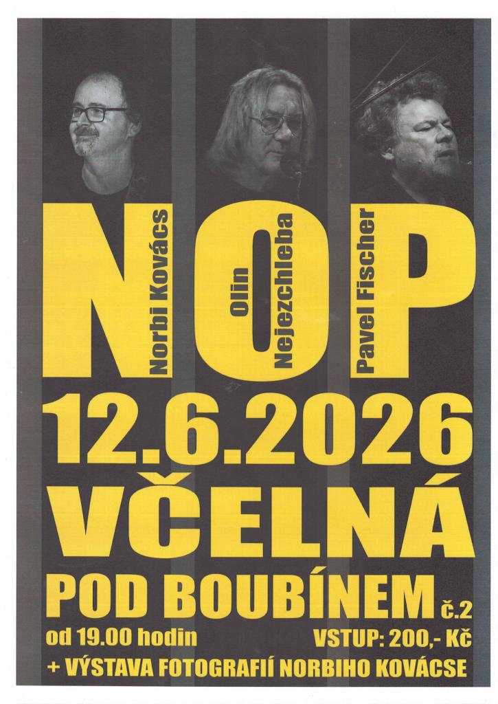 koncert